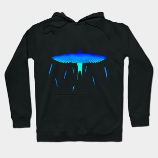 🌌Blue Swallow🌌 Hoodie